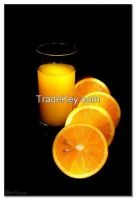 Frozen Valencia Orange Juice Concentrate