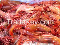 Parrot Fish, Sword Fish, Frozen Mackerel, Yellow Croaker, Black Tiger Shrimps, Slipper Lobster