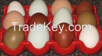 High Fresh Table Eggs Brown And White