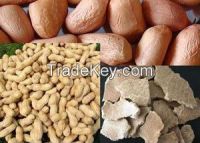 Groundnut meal