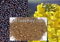 Rapeseed meal