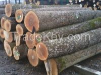 ASH LOGS FROM LITHUANIA/LATVIA/UKRAINE (Fraxinus excelsior)