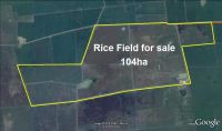 Agriculture Land for sale in Cambodia