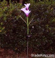 https://www.tradekey.com/product_view/Flower-Solar-Light-1557889.html