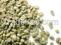 Washed Arabica Green Coffee Beans Grade 1 Screen 18