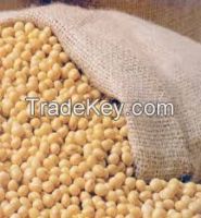 Soybean Brazil