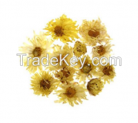 Dried Florists Chrysanthemum,Chrysanthemum morifolium