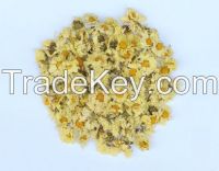 Organic Dried Chrysanthemum buds, high qualty Chrysanthemum tea