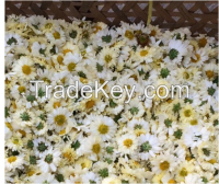 Chrysanthemum Tea--Get rid of the fever,Dried Flower Tea