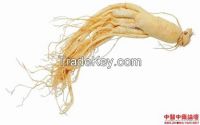 Ginseng//Ginseng Root