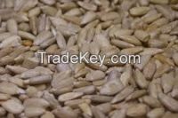 Sunflower Seeds for sale