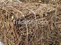 Licorice Root 