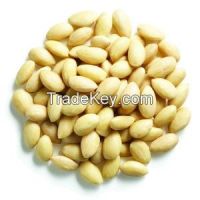 Brazilian 2016  Blanched Peanut Kernel