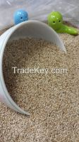 WHITE SESAME SEEDS