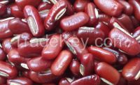 RED BAMBOO BEAN