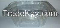 Plastic Clear Container Rectangular hinged