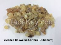 Somali Olibanum  (Boswellia carterii Frankincense) - Grade 1