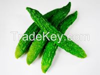 https://www.tradekey.com/product_view/Bitter-Gourd-7557353.html