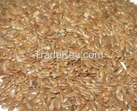 Flax Seeds