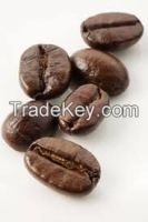 ROBUSTA Coffee Beans - SELL OFFER 10.000 MT