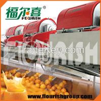 Automatic citrus juice extractor made in china
