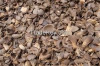 Palm kernel shell