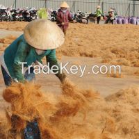 Vietnam Coconut Fiber for mattress