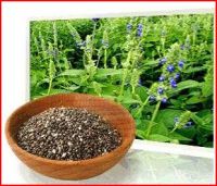 https://fr.tradekey.com/product_view/Chia-Seeds-8541547.html