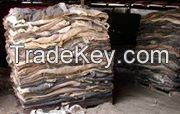 wet salted cattle hides