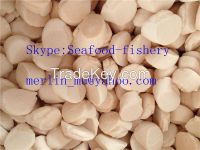 Kinds of premium-quality frozen seafood