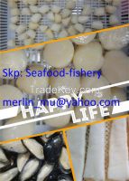 Frozen seafood processer