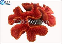 Fake Coral Natural Aquarium Decorations Fish Tank Background