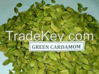 CARDOMOM - SouthernSpice Exports.