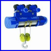 Electric Wire Rope Hoist 10t