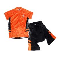 Stable quality popular cycling jersey