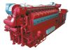 Biofuel Genset