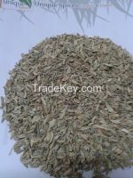 Fennel Seeds