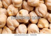 desi chickpeas