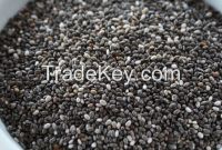 High Quality Organic Chia from Bolivia