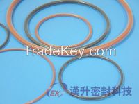 FEP Encapsulated O-Ring