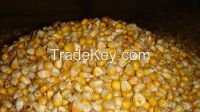 Feed corn, also wheat 2, 3 classes, feed wheat, barley and soybeans