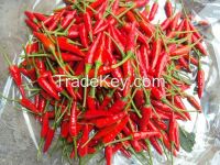 Chilies