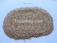 Sesame Seeds