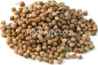 Coriander Seeds