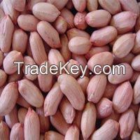 Groundnut Kernels