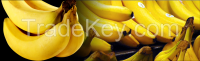 Fresh Fruits | Fresh Apples | Fresh Oranges | Fresh Mangoes | Fresh Bananas | Fresh Lemon | Grapes | Berries | Kiwi