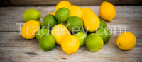 Fresh Lemons for sale