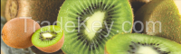 Fresh Kiwi fruit for sale