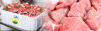 Frozen beef meat