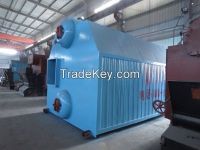 Double Drum Chain-Grate Coal-Fired Steam Boiler